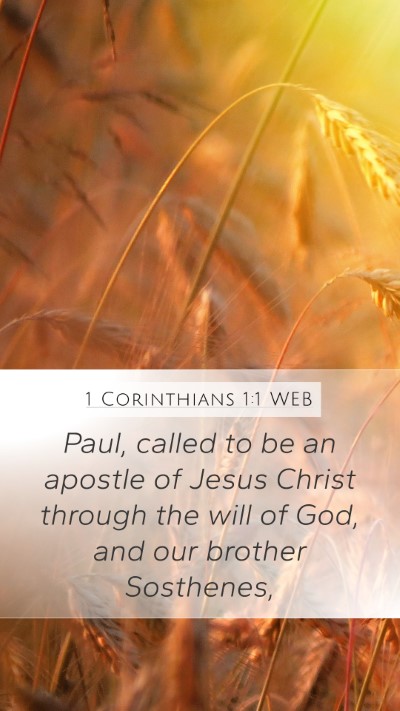 1 Corinthians 1:1 WEB Bible Verse Image