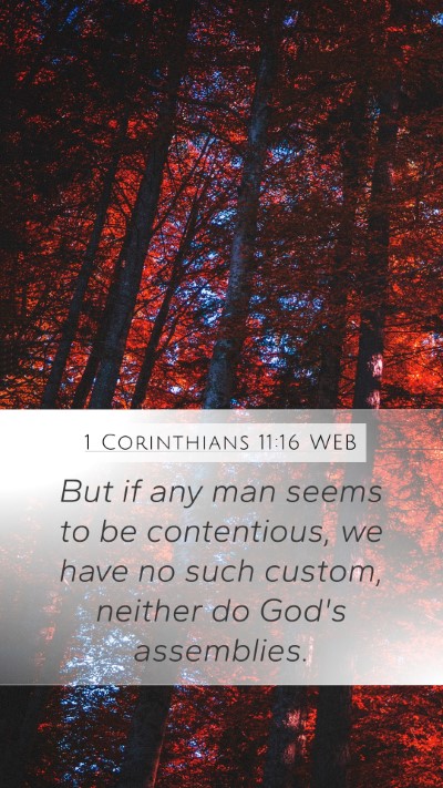 1 Corinthians 11:16 WEB Bible Verse Image