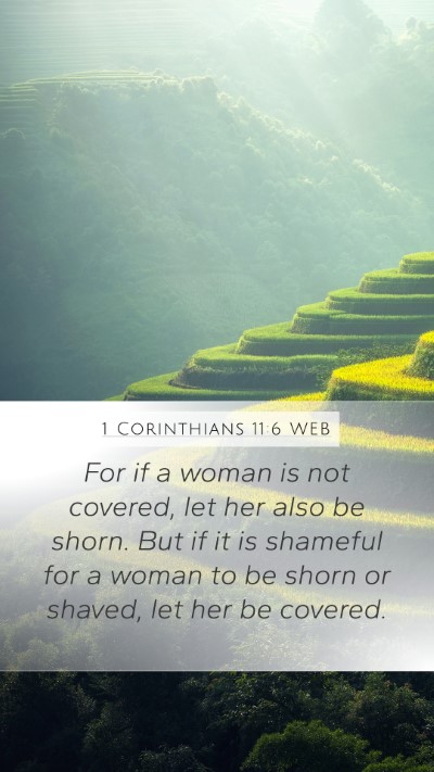 1 Corinthians 11:6 WEB Bible Verse Image