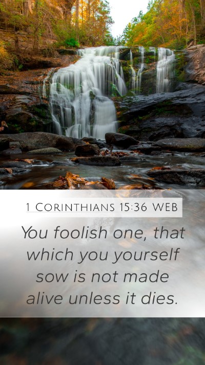 1 Corinthians 15:36 WEB Bible Verse Image