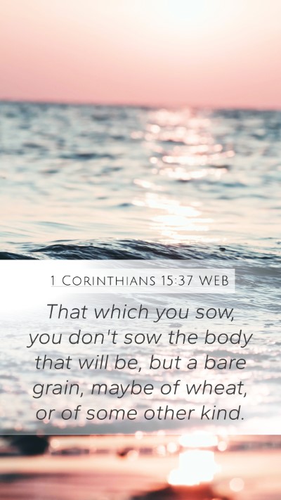 1 Corinthians 15:37 WEB Bible Verse Image