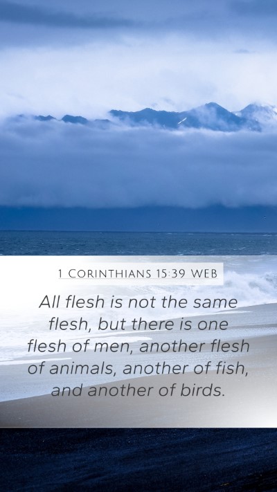 1 Corinthians 15:39 WEB Bible Verse Image