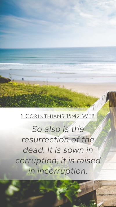 1 Corinthians 15:42 WEB Bible Verse Image