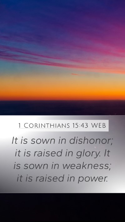 1 Corinthians 15:43 WEB Bible Verse Image