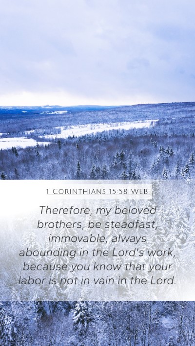 1 Corinthians 15:58 WEB Bible Verse Image