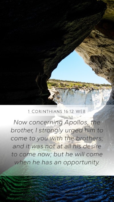 1 Corinthians 16:12 WEB Bible Verse Image