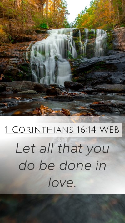 1 Corinthians 16:14 WEB Bible Verse Image
