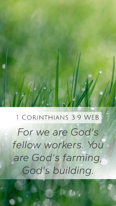 1 Corinthians 3:9 WEB Bible Verse Image
