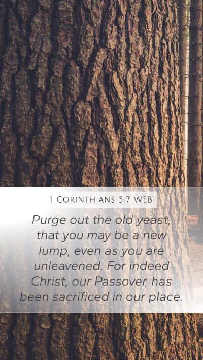 1 Corinthians 5:7 WEB Bible Verse Image