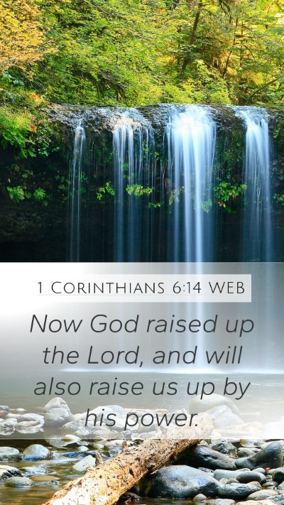 1 Corinthians 6:14 WEB Bible Verse Image