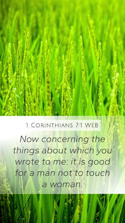1 Corinthians 7:1 WEB Bible Verse Image