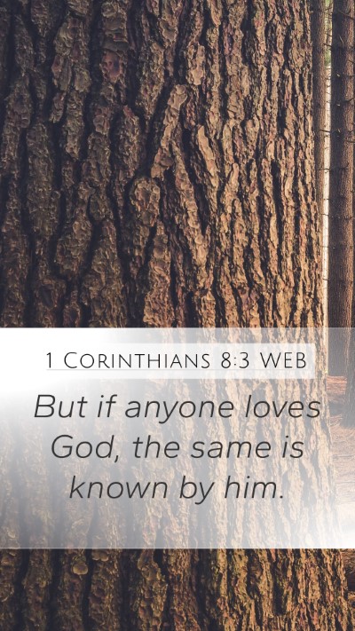 1 Corinthians 8:3 WEB Bible Verse Image