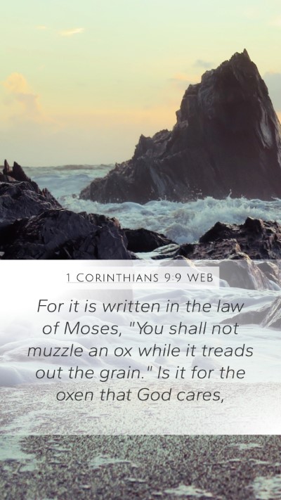1 Corinthians 9:9 WEB Bible Verse Image