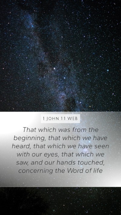 1 John 1:1 WEB Mobile Phone Wallpaper - That which was from the beginning, that which we - Mobile Bible Verse Wallpaper