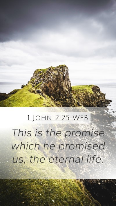 1 John 2:25 WEB Bible Verse Image