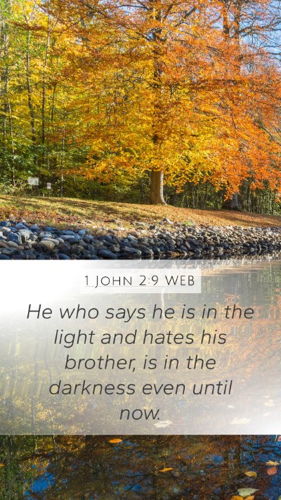 1 John 2:9 WEB Bible Verse Image