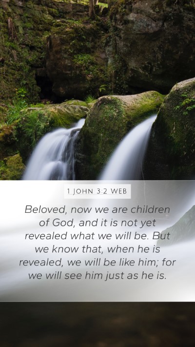 1 John 3:2 WEB Bible Verse Image
