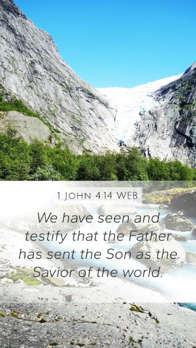 1 John 4:14 WEB Bible Verse Image