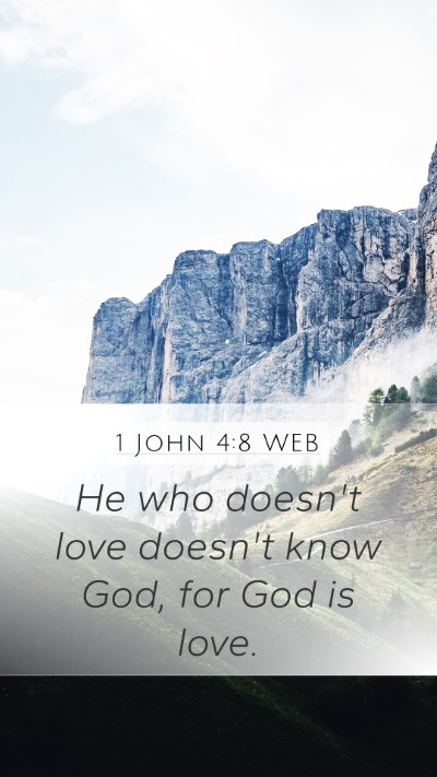 1 John 4:8 WEB Bible Verse Image