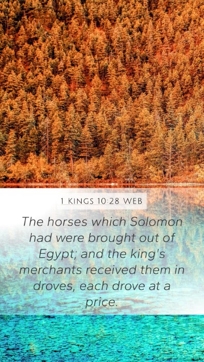 1 Kings 10:28 WEB Bible Verse Image