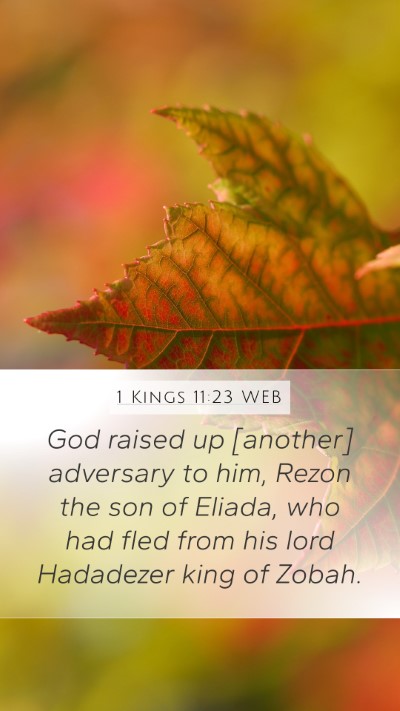 1 Kings 11:23 WEB Bible Verse Image