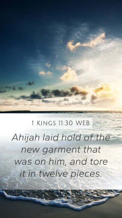 1 Kings 11:30 WEB Bible Verse Image