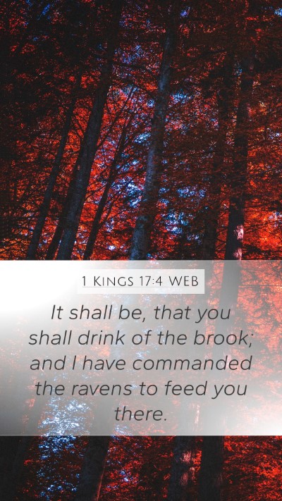 1 Kings 17:4 WEB Bible Verse Image