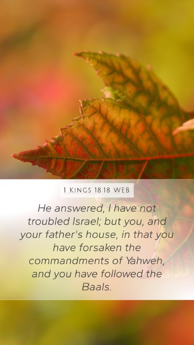 1 Kings 18:18 WEB Bible Verse Image