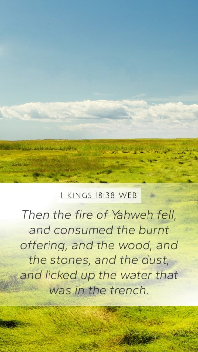 1 Kings 18:38 WEB Bible Verse Image