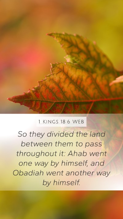 1 Kings 18:6 WEB Mobile Phone Wallpaper - So they divided the land between them to pass - Mobile Bible Verse Wallpaper