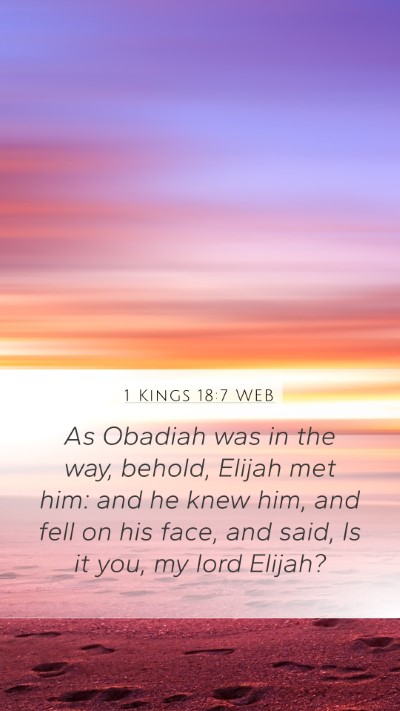 1 Kings 18:7 WEB Bible Verse Image