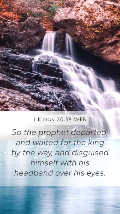 1 Kings 20:38 WEB Bible Verse Image