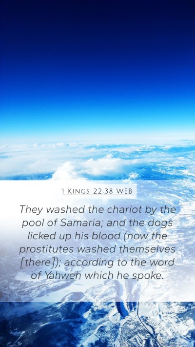1 Kings 22:38 WEB Mobile Phone Wallpaper - They washed the chariot by the pool of Samaria; - Mobile Bible Verse Wallpaper