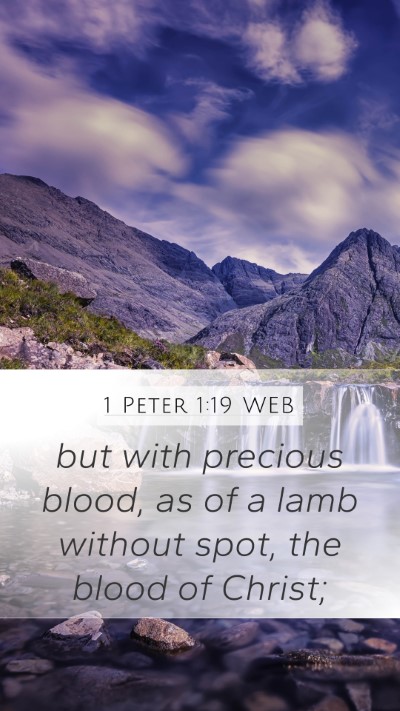 1 Peter 1:19 WEB Bible Verse Image