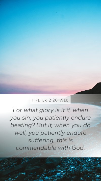 1 Peter 2:20 WEB Bible Verse Image