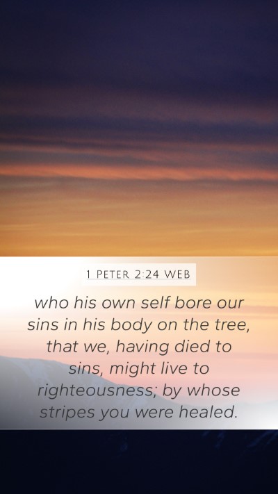 1 Peter 2:24 WEB Bible Verse Image