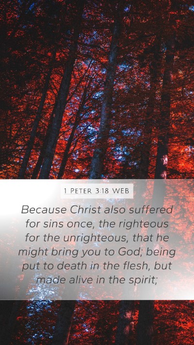 1 Peter 3:18 WEB Bible Verse Image