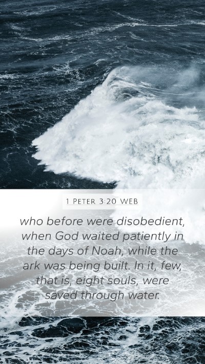 1 Peter 3:20 WEB Bible Verse Image