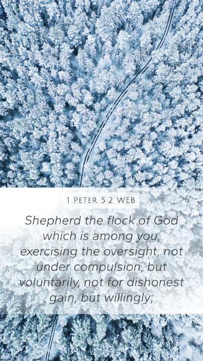 1 Peter 5:2 WEB Bible Verse Image