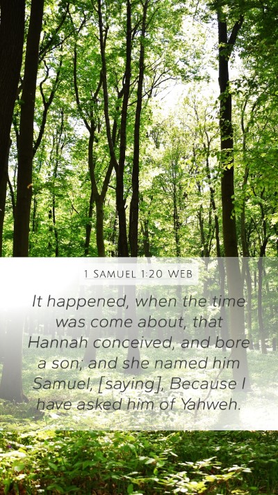 1 Samuel 1:20 WEB Bible Verse Image