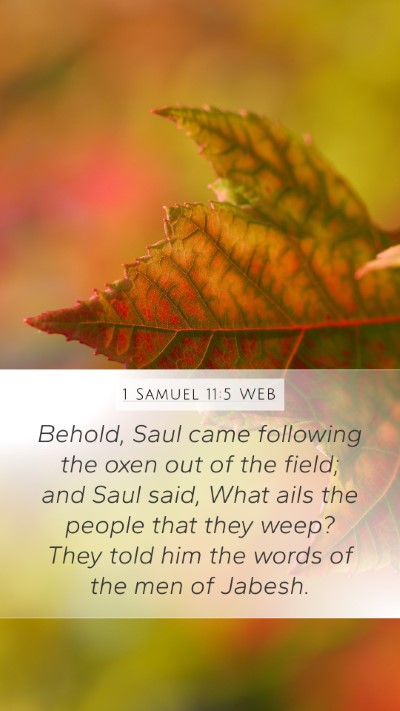 1 Samuel 11:5 WEB Mobile Phone Wallpaper - Behold, Saul came following the oxen out of the - Mobile Bible Verse Wallpaper
