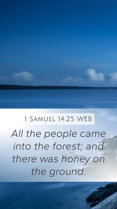 1 Samuel 14:25 WEB Bible Verse Image
