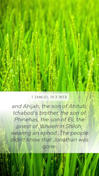 1 Samuel 14:3 WEB Bible Verse Image