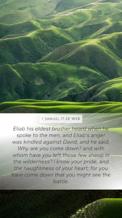 1 Samuel 17:28 WEB Bible Verse Image
