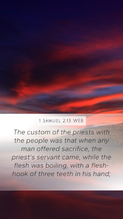 1 Samuel 2:13 WEB Bible Verse Image