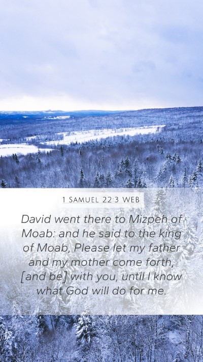 1 Samuel 22:3 WEB Bible Verse Image