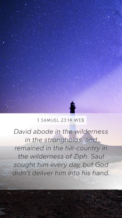 1 Samuel 23:14 WEB Bible Verse Image