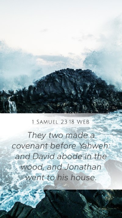 1 Samuel 23:18 WEB Bible Verse Image
