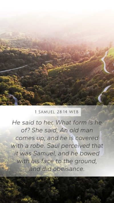 1 Samuel 28:14 WEB Mobile Phone Wallpaper - He said to her, What form is he of? She said, An - Mobile Bible Verse Wallpaper