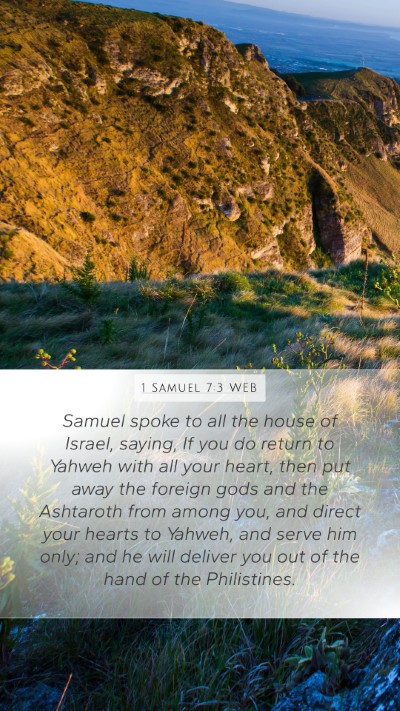1 Samuel 7:3 WEB Bible Verse Image